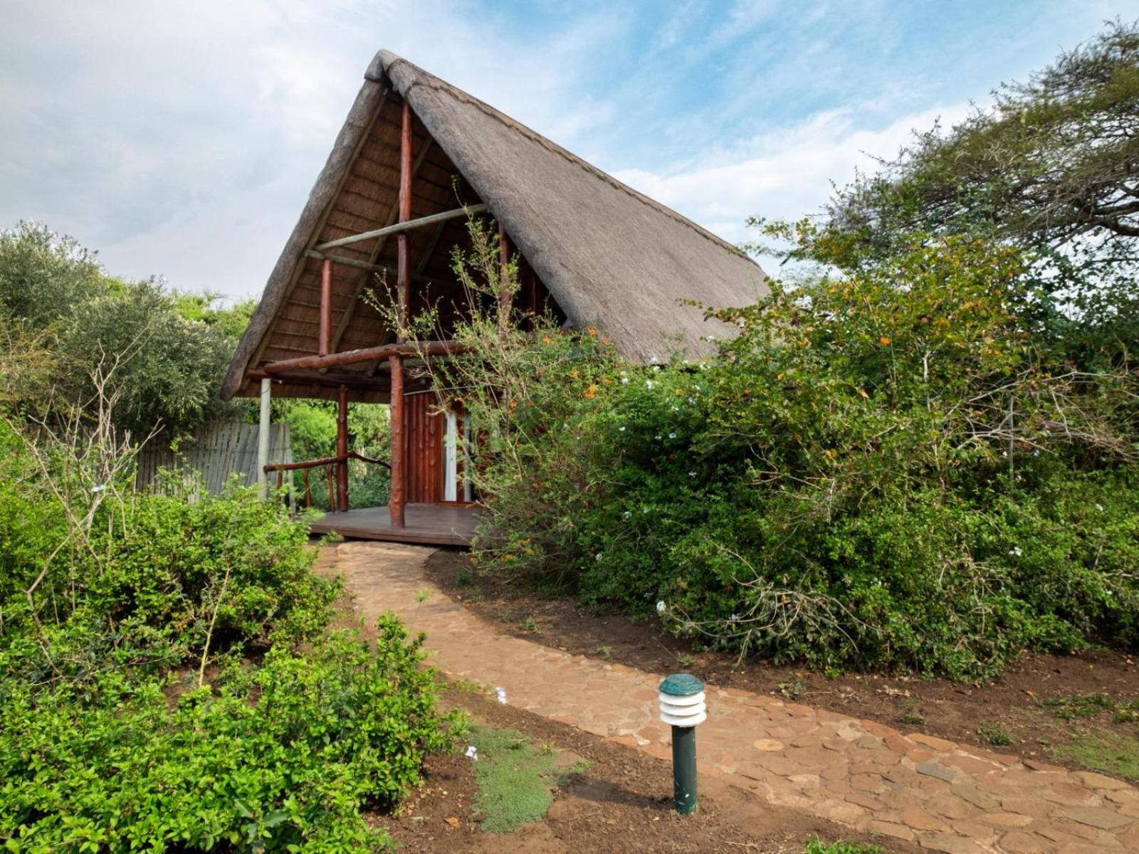 Rhino River Lodge Manyoni Private Game Reserve Ngoại thất bức ảnh