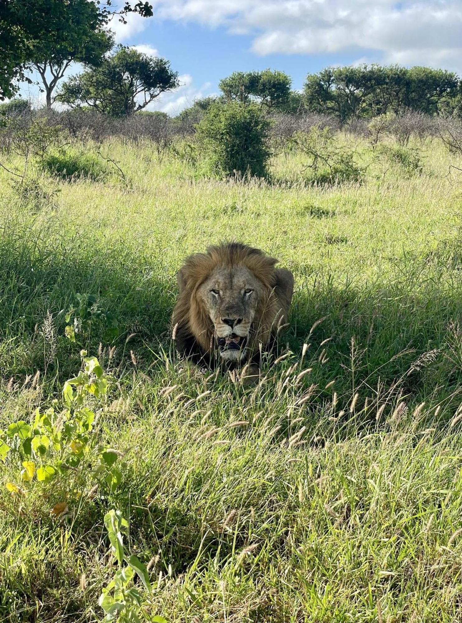 Rhino River Lodge Manyoni Private Game Reserve Ngoại thất bức ảnh